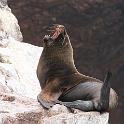 Peru 0095